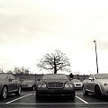 #BentleyContinentalGT