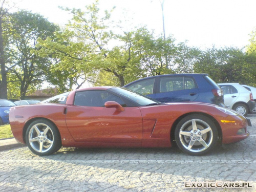 Corvette C6