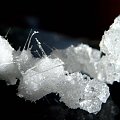 Nasz prywatny kryształek soli,wyhodowany w prywatnym słoiku #minerały #sól #kryształy