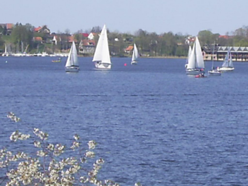 4 maja 2007