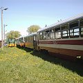 Wagony rumuńskie Bxhpi a w oddali Lyd1 #Rogów #KolejWąskotorowa
