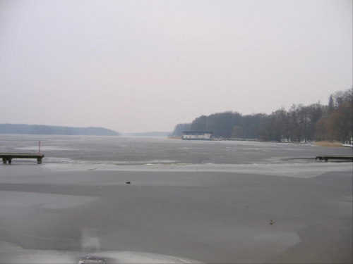 nurkowanie25.02.2007 #NurkowaniePodlodowe #harry #trzesiecko