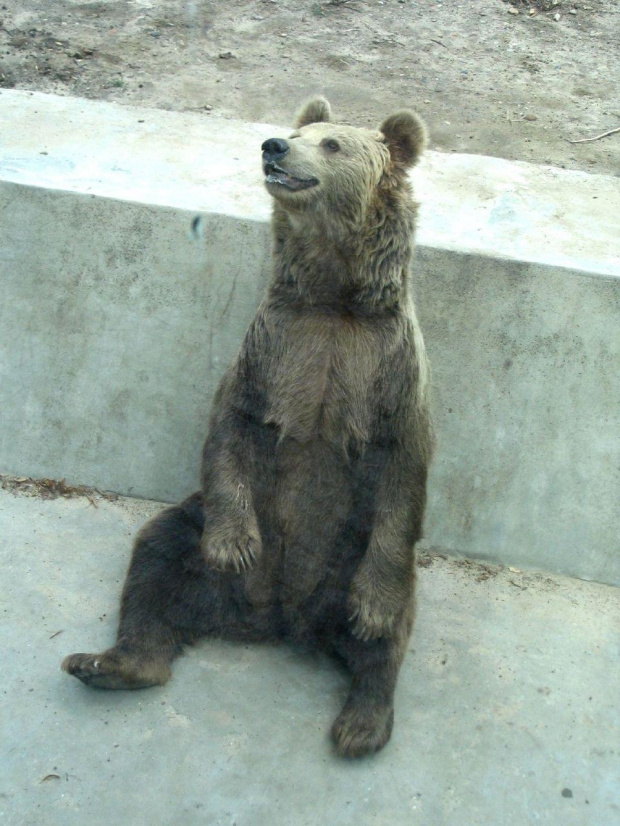 porządki, sierpień 2006...