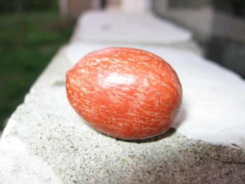 Nasiona przywiezione z Indii,może ktoś wie co może z nich wyrosnąć? Brązowe ma 5/4/2,5 cm, mniejsze, pomarańczowe dł3cm. śr.2cm. Oba twarde jak kamień. #Indie #nasiona #pestki #pytanie #coto