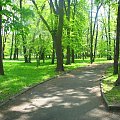 #park #drzewa #przyroda