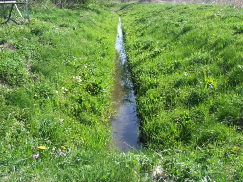 Ciek wodny
Źródło bierze koło punktu poboru wody na Wodnej. ma długość ok. 4-5km