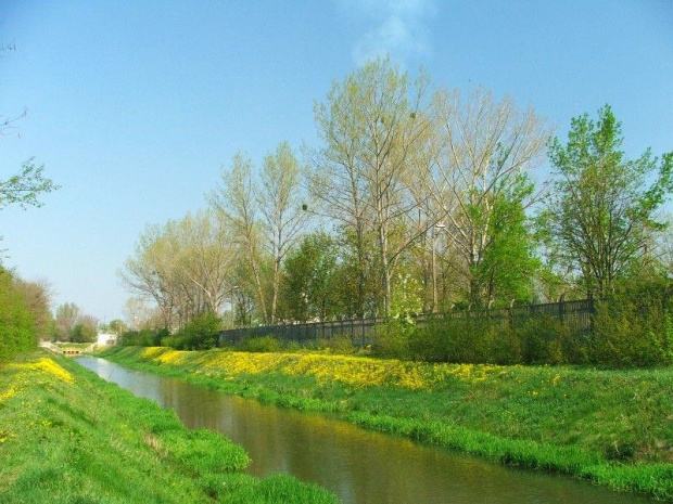 Kanał doprowadzający wodę z Kurówki na potrzeby Zakładów Azotowych #Azoty #Puławy #Kurówka