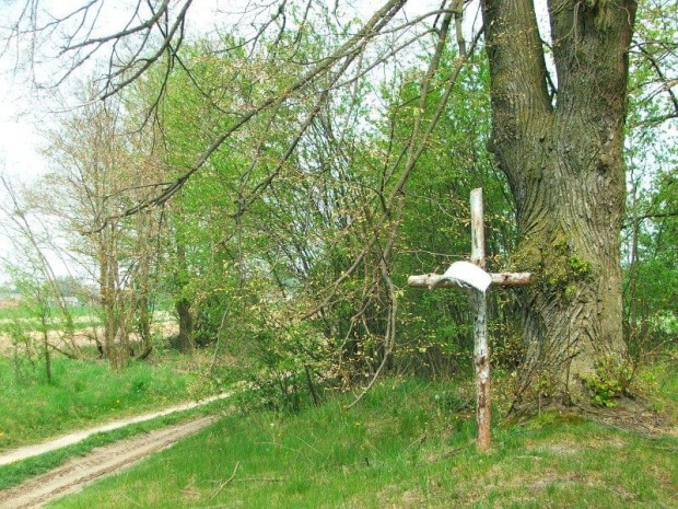 Krzyż przy drodze do Woli Osińskiej #WolaOsińska #krzyż