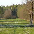 Puszcza Piska #PuszczaPiska #Pisz #Rower #Remes #Mazury