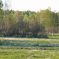 Puszcza Piska #PuszczaPiska #Pisz #Rower #Remes #Mazury