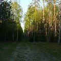 Puszcza Piska #PuszczaPiska #Pisz #Rower #Remes #Mazury