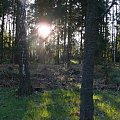 Puszcza Piska #PuszczaPiska #Pisz #Rower #Remes #Mazury