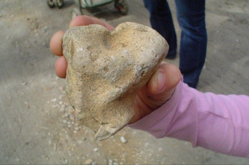 Moja córka znalazła w tym kamieniu głowę dinozaura. Będzie go w domu malować. Napweno wam go pokaże po jej obróbce. Co Wy widzicie w tym zdjęciu??