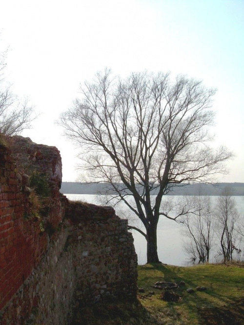 #ruiny #zamek #ZamekKrzyżacki #zamki