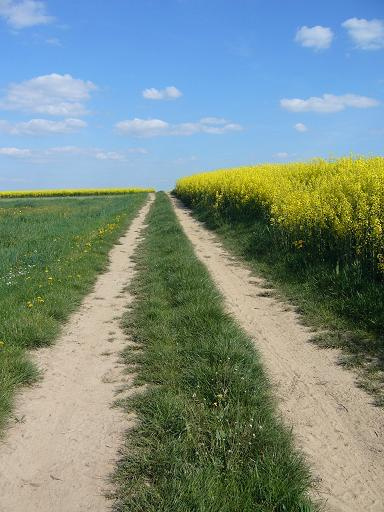 Focie robione z nudów... ;)