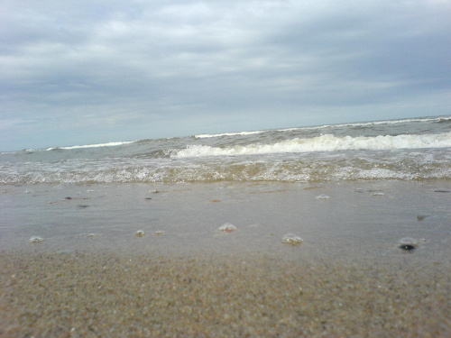 maj 2007 #morze