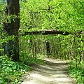 Kraków na rowerze - Ojców-Dolinki-Balice