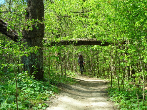 Kraków na rowerze - Ojców-Dolinki-Balice