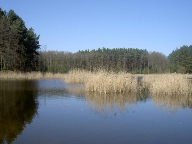 Morasko, pobliże mojego wydziału