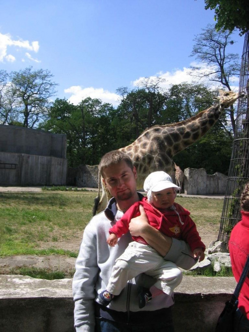 żyrafa, tata i ja