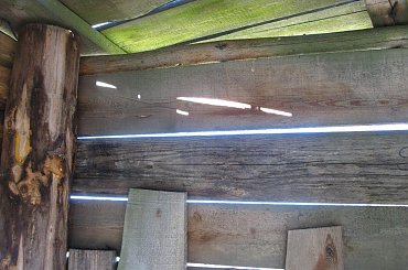 #zieleń #trawa #drzewa #spacer #natura #las #widok #PunktWidokowy #pole #ścieżka #warmia #mazury #OkoliceOlsztyna