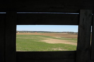 #zieleń #trawa #drzewa #spacer #natura #las #widok #PunktWidokowy #pole #ścieżka #warmia #mazury #OkoliceOlsztyna