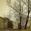 #ruiny #zamek #ZamekKrzyżacki #zamki #sepia