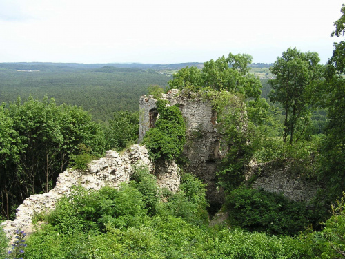 Ruiny zamku Tenczyn