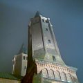 Katedra Płocka nocą #Płock