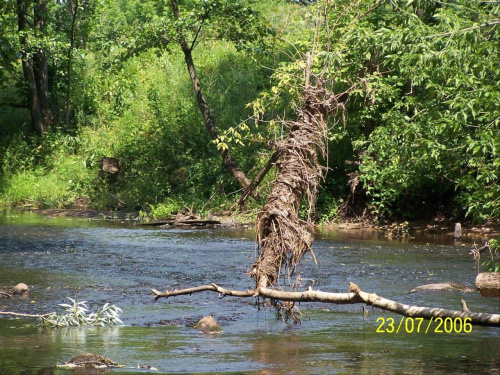 rzeka świder #woda #rzeka #blask