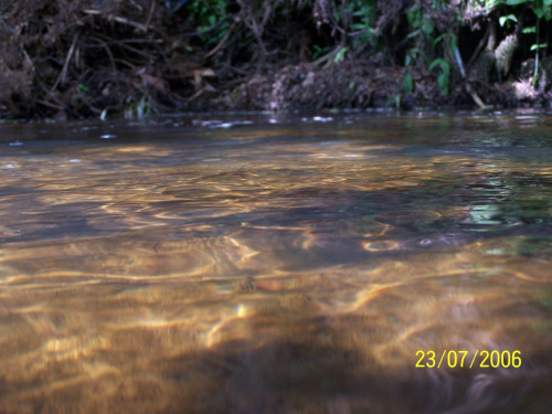 rzeka świder #woda #rzeka #blask