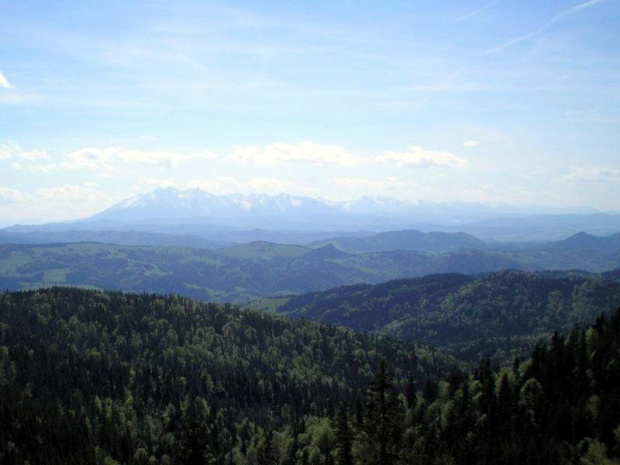 Tatry z Radziejowej