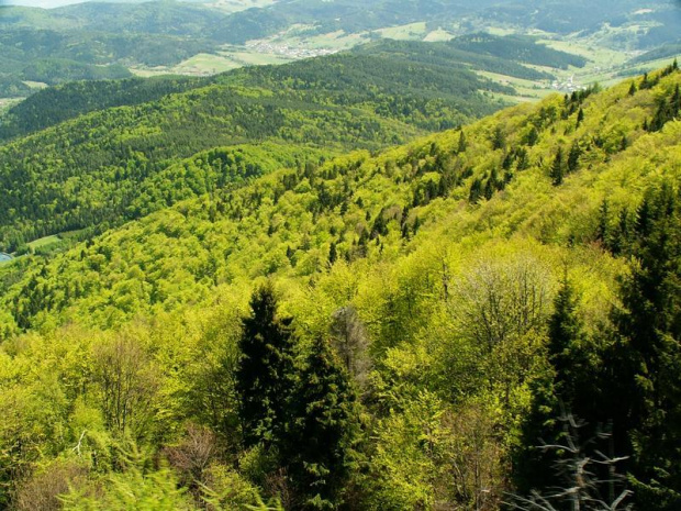 widok z kolejki na jaworzynie krynickiej #góry #tatry