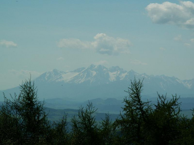 widok na tatry z Jaworzyny Krynickiej #góry #tatry