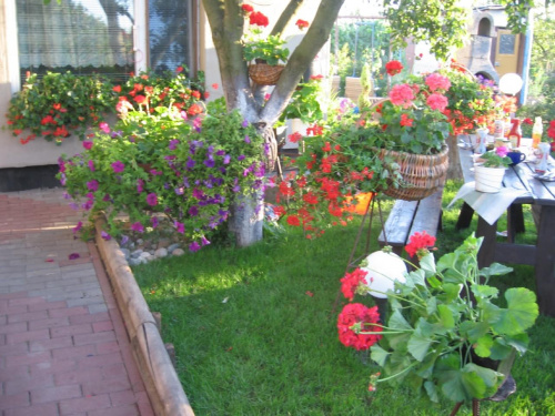 Nasz ogródek