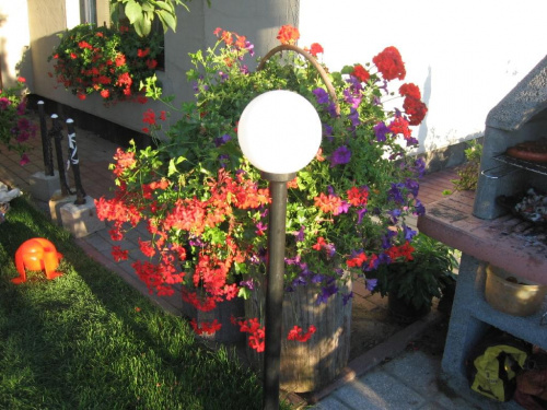 Mój ogródek