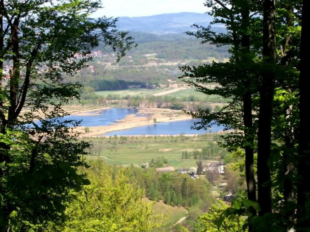 Widok z trasy na chojnik