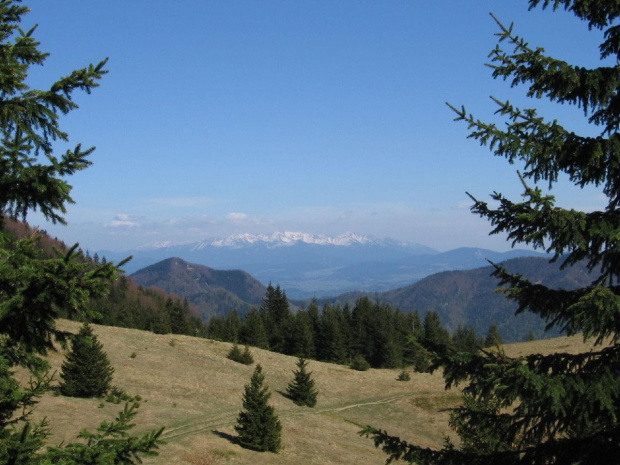 Widok na Tatry