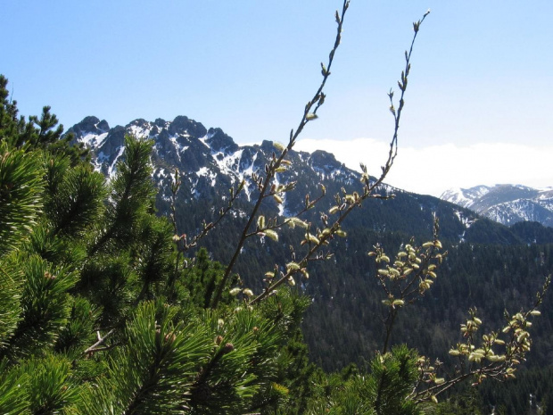 Bazie na wysokości 1300m