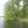 gierczak