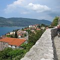 Herceg-Novi