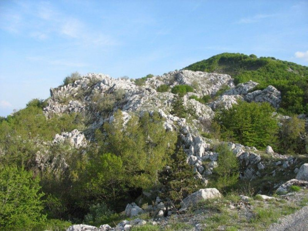 Cetinje i okolice