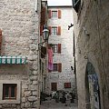 Kotor