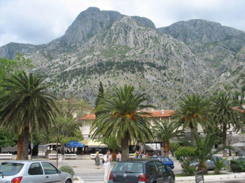 Kotor