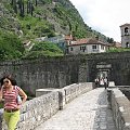 Kotor