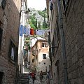 Kotor