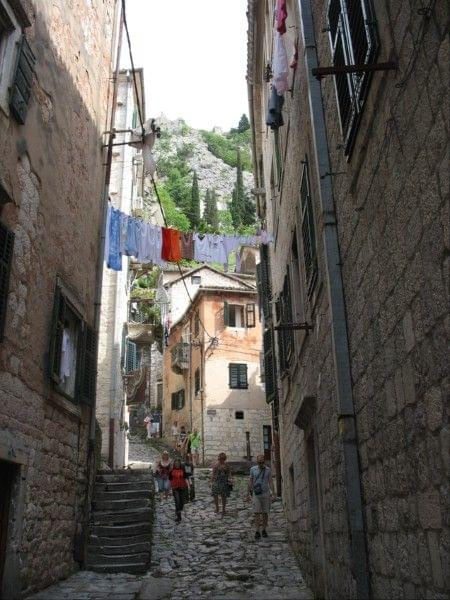 Kotor