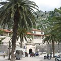 Kotor