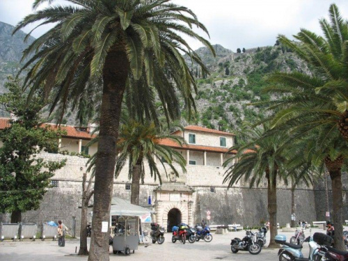 Kotor