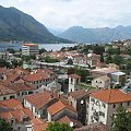 Kotor